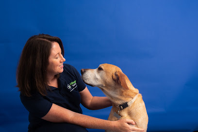 Village Vets Ashbourne