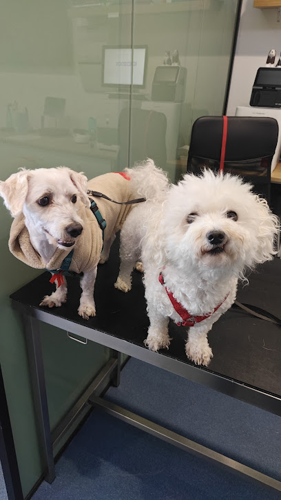 Assisi Veterinary Clinic