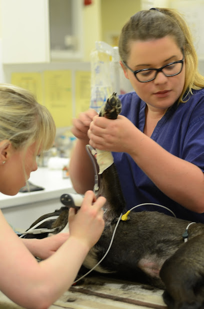 Cara Veterinary Hospital | Blanchardstown Vet | Dublin 15 | Cara Veterinary Group
