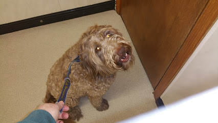 O'Scanaill Veterinary Hospital