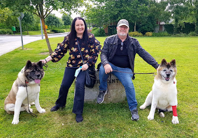 Paul Kelly Veterinary Surgery