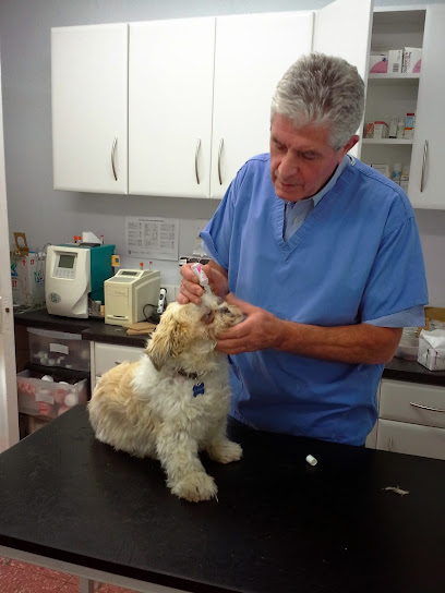 Family Vets Athlone (Athlone Veterinary Clinic)