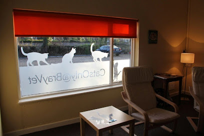 Cats Only at BrayVet