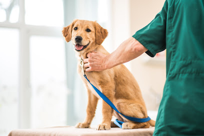Oaklawns Veterinary Surgery