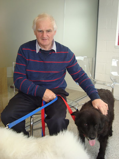 St Francis Veterinary Clinic Carlow