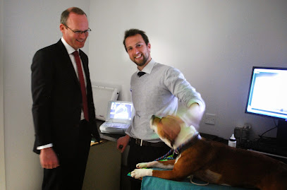 Abbeyville Veterinary Hospital - Togher