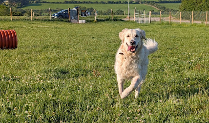 Village Vets Douglas (The Village Veterinary Clinic)