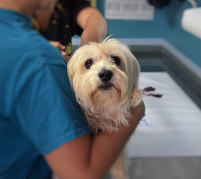 Westside Veterinary Clinic