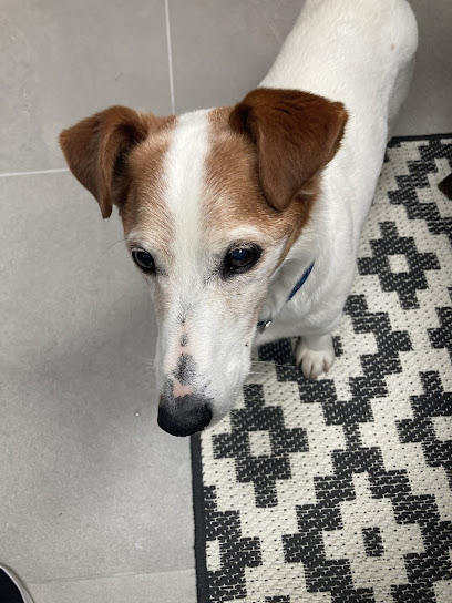 Home VetCare