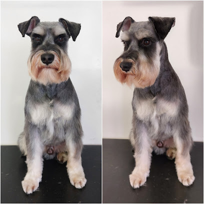 Castle Vets Veterinarian and Dog Grooming