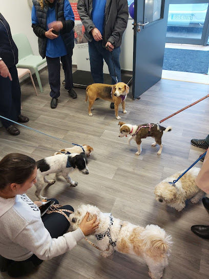 Abbeyville Veterinary Clinic - Little Island
