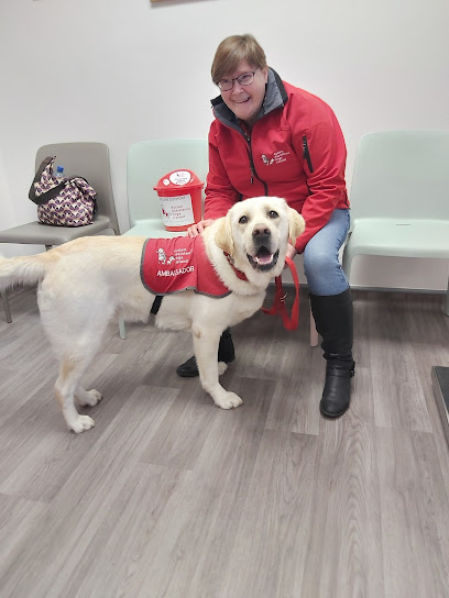 Abbeyville Veterinary Clinic - Little Island
