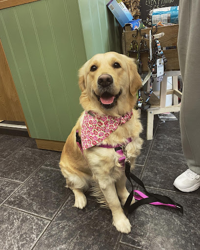 Nature Nurture Pet Store