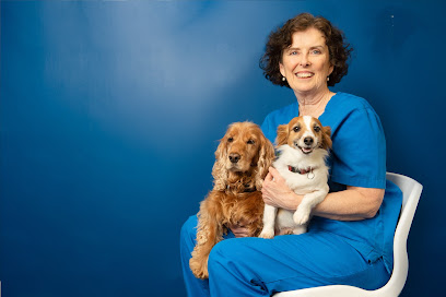 Village Vets Rathfarnham (DSPCA)