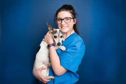 Village Vets Sandyford