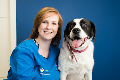 Village Vets Stillorgan