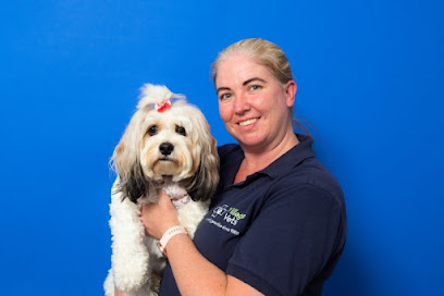 Village Vets Clonsilla