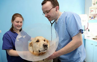 The Animal Hospital