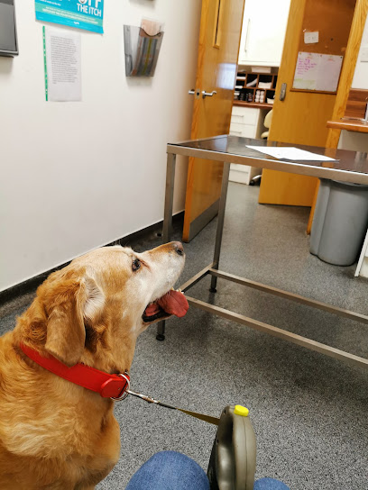Avenue Veterinary Clinic