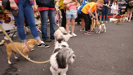 Connolly's RED MILLS