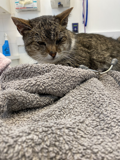 Thomastown Veterinary Clinic