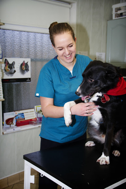 All Care Veterinary Hospital