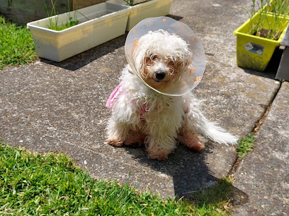 Killarney Veterinary Clinic