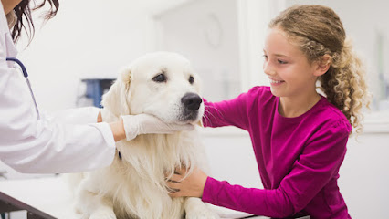 Allpets Veterinary Hospital