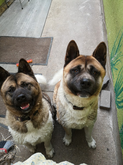 Shenick Veterinary Centre