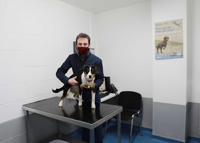 Letterkenny Small Animal Veterinary