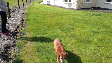 Petworld Mullingar | Pet Store