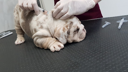 Newbridge Veterinary Clinic & Grooming Service