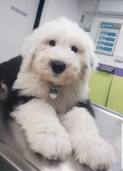 Boyne Veterinary Clinic