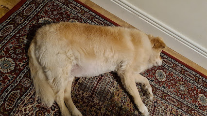Advanced Pet Care Smith and Foley - Navan