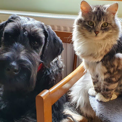 Vetcare Portlaoise