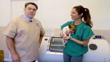 Amy Lara Veterinary Clinic