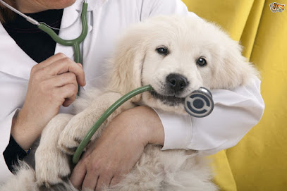 Hurley's Veterinary Hospital