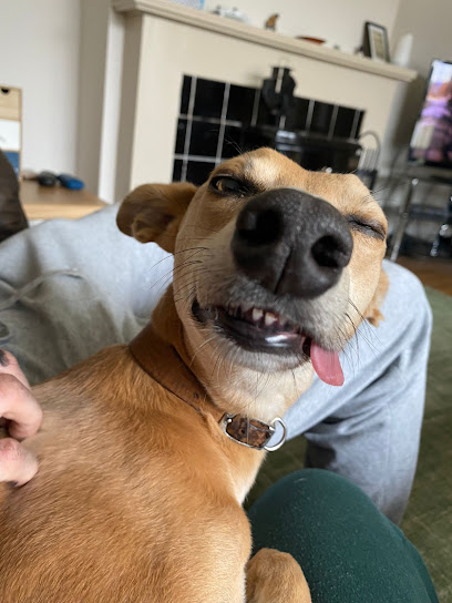 Tír Na Bhó Veterinary (Kiersey & Murphy)