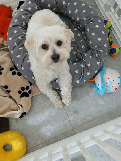 Ani-Pets Veterinary Clinic