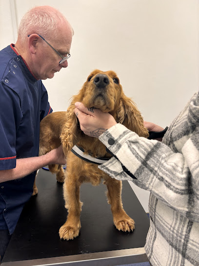 Arena Veterinary Hospital