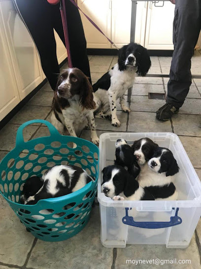 Moyne Veterinary Hospital