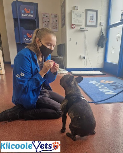 Kilcoole Vets