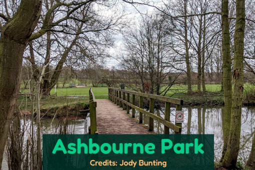 Ashbourne Dog Services Ashbourne Dog Services