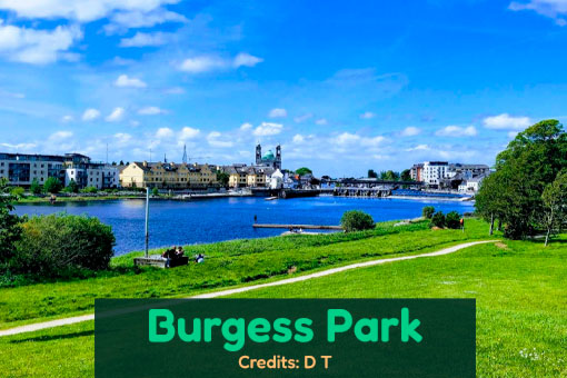 Athlone Dog Services Athlone Dog Services