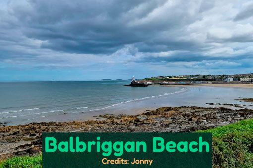 Balbriggan Dog Services Balbriggan Dog Services