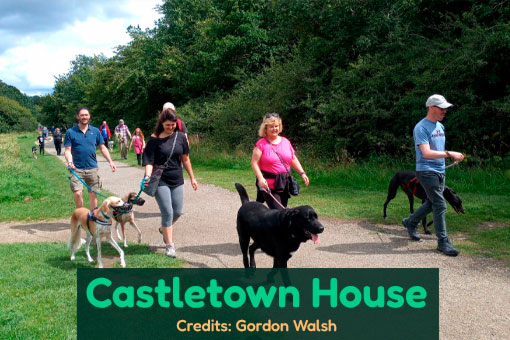 Celbridge's Top Dog Services Celbridge's Top Dog Services
