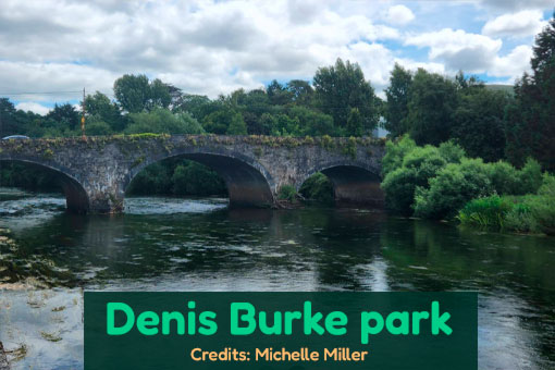 Clonmel's Top Dog Services Clonmel's Top Dog Services