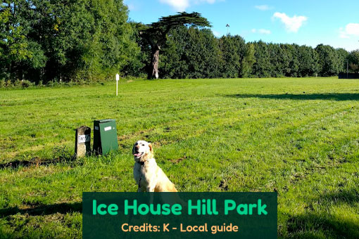 Dundalk's Top Dog Services Dundalk's Top Dog Services