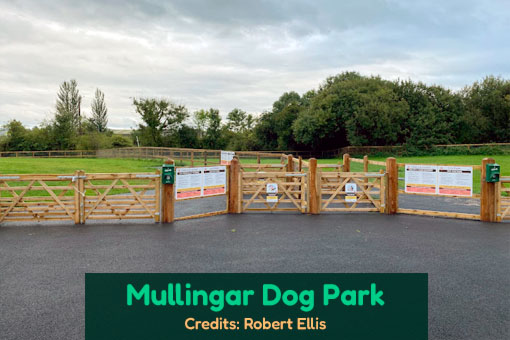Mullingar's Top Dog Services Mullingar's Top Dog Services