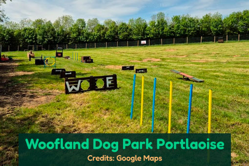 Portlaoise's Top Dog Services Portlaoise's Top Dog Services